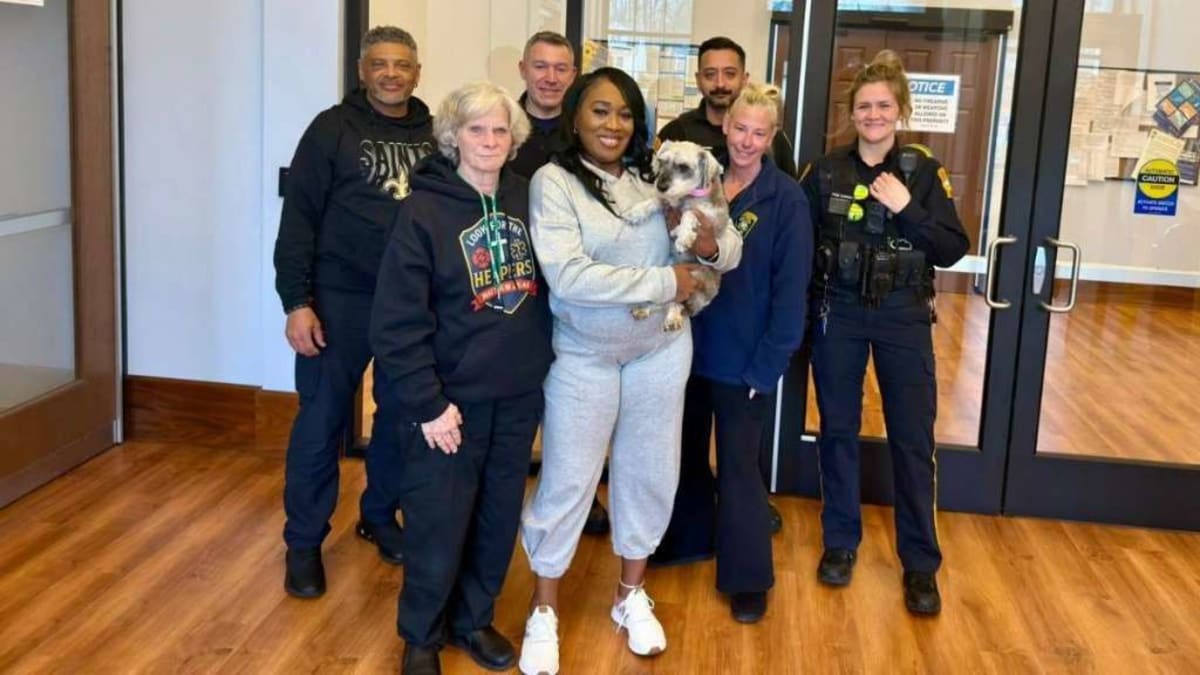 Dog Found 1,000 Miles Away After 2 Years Missing - Image 2