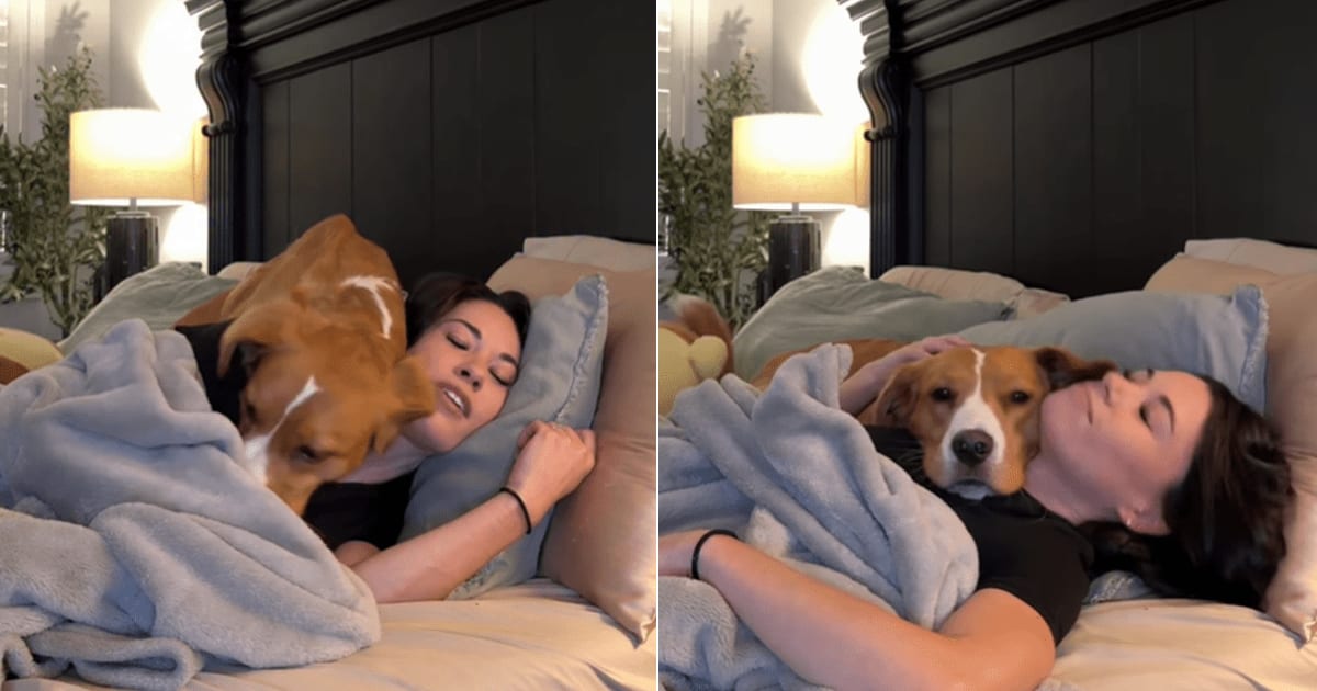 Rescue Dog Cuddles Foster Mom Every Night She Lies Down