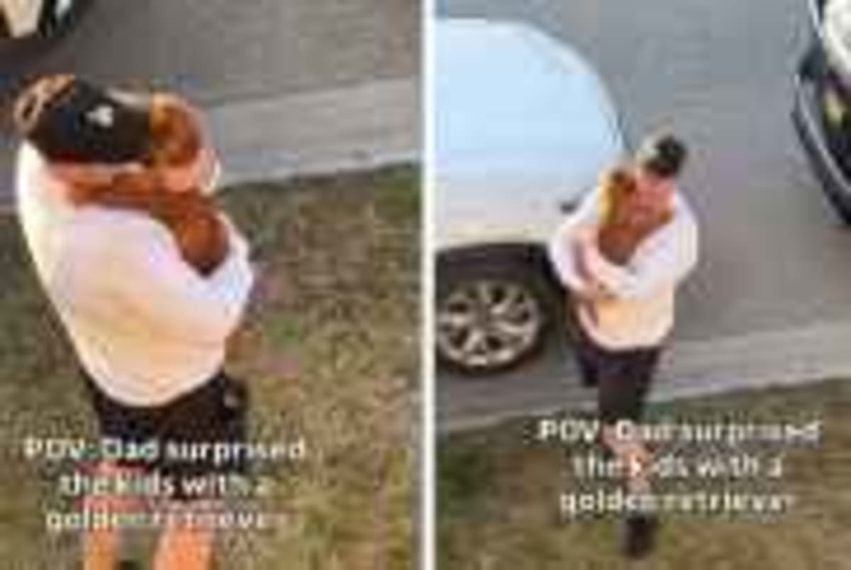 Vet Saves Jack Russell From Euthanasia, Adopts Him Instead - Image 3