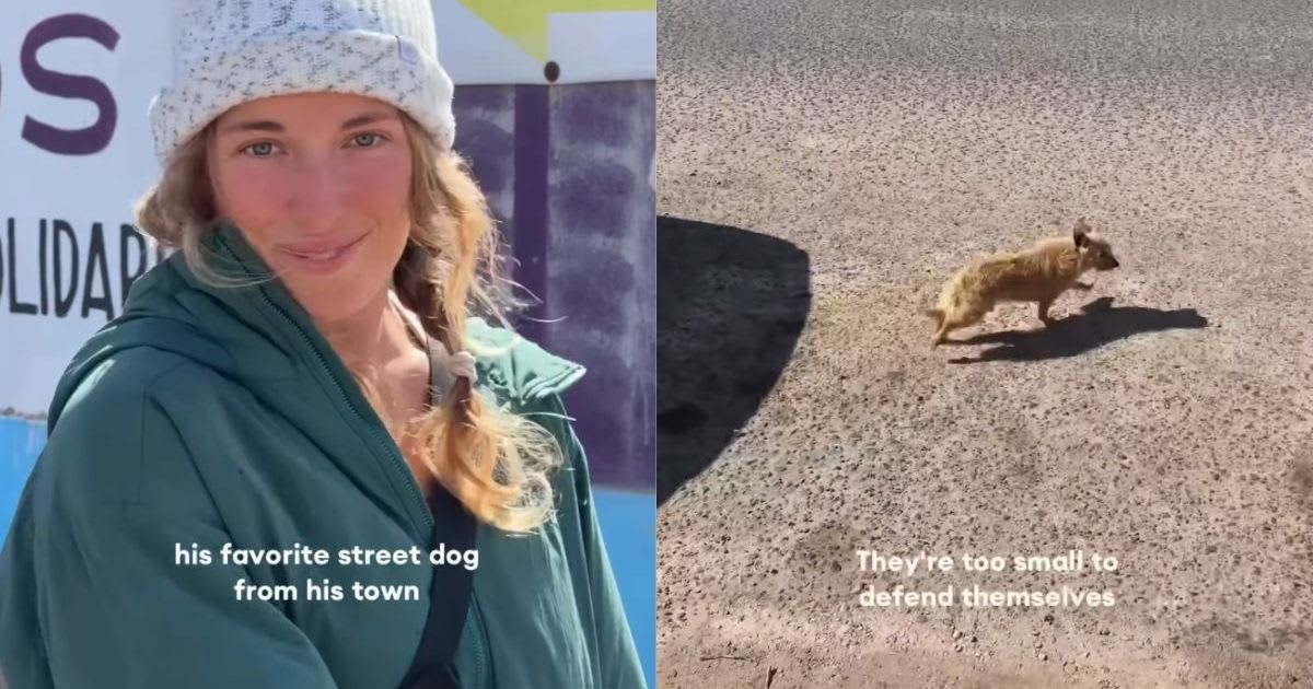 Man Chases Street Dog Through Desert for Hours, Saves Him