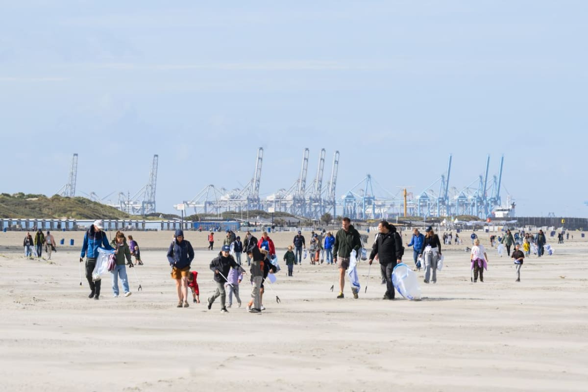 Volunteers searching sandy beach for small plastic fragments and waste during coastal cleanup event
