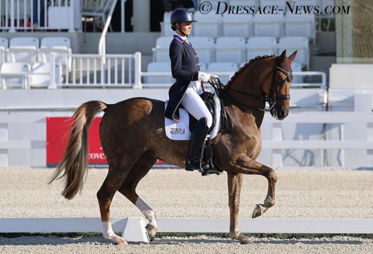 Rider Wins US Dressage Title on Horse She Bred Herself - Image 2