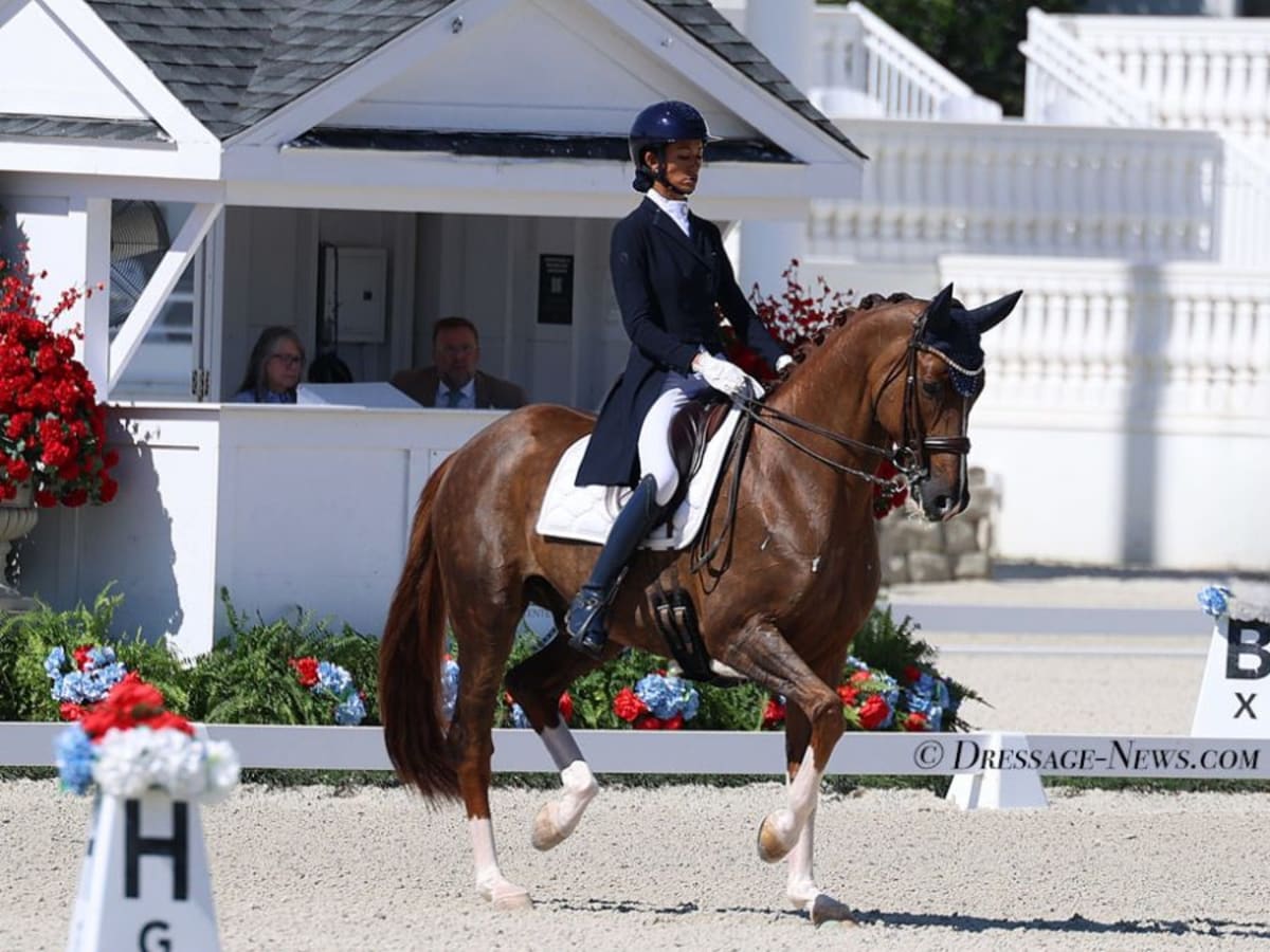 Rider Wins US Dressage Title on Horse She Bred Herself - Image 4