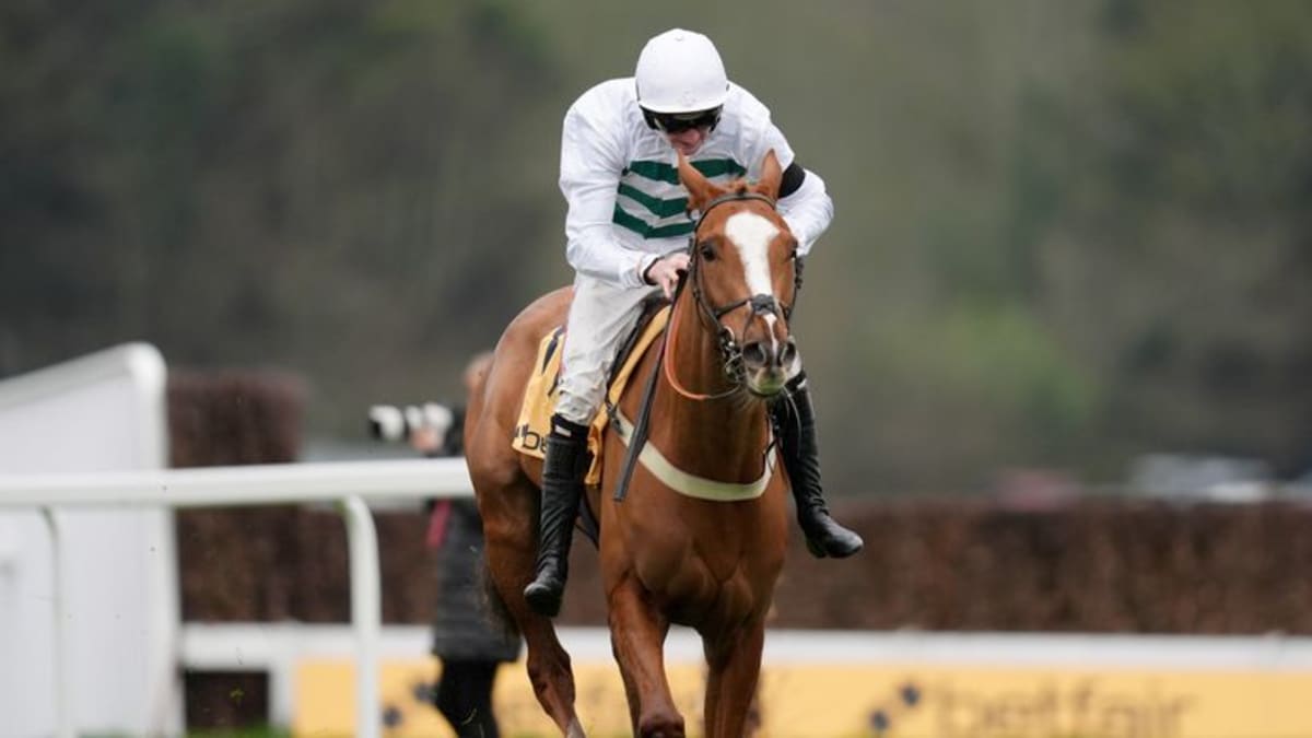 Rider Loses Stirrups But Wins Top Race on Sheer Grit - Image 2