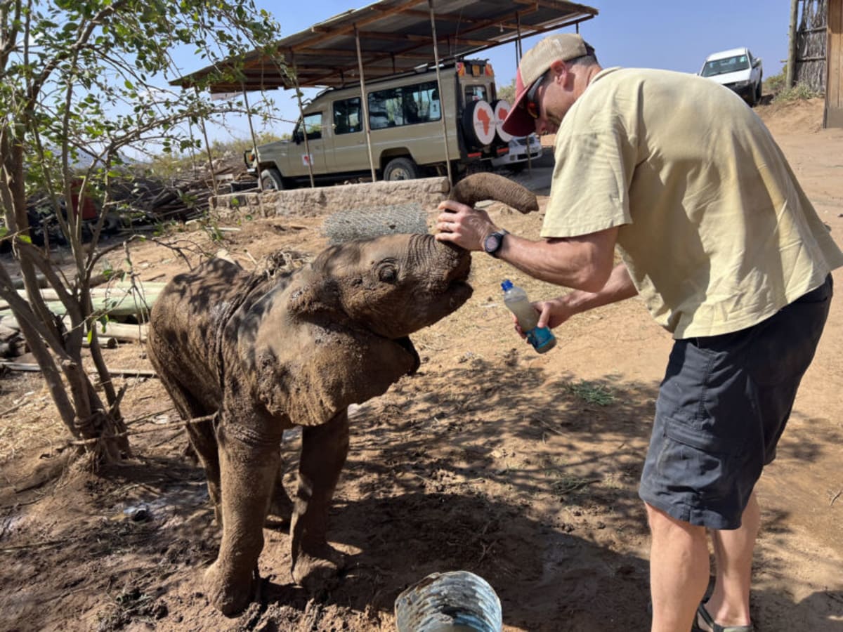 Lost Elephant Calf Answers Aunt's Call in Kenya Reunion - Image 5