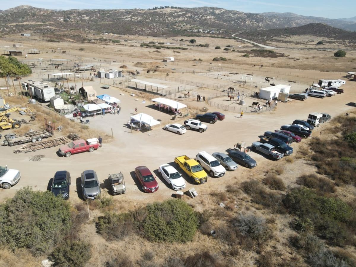 ** Rescued horses grazing peacefully at Tecate Horse Rescue sanctuary near California-Mexico border