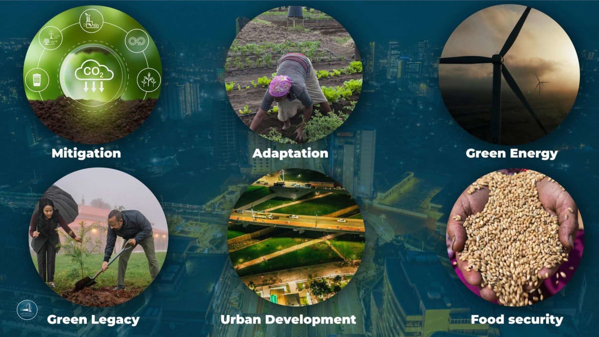 Ethiopia Plants 48 Billion Trees in Climate Turnaround