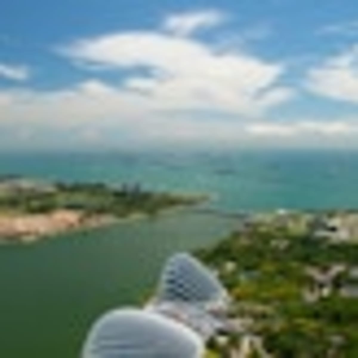 IKEA Restores 18,500 Hectares of Borneo Rainforest - Image 4