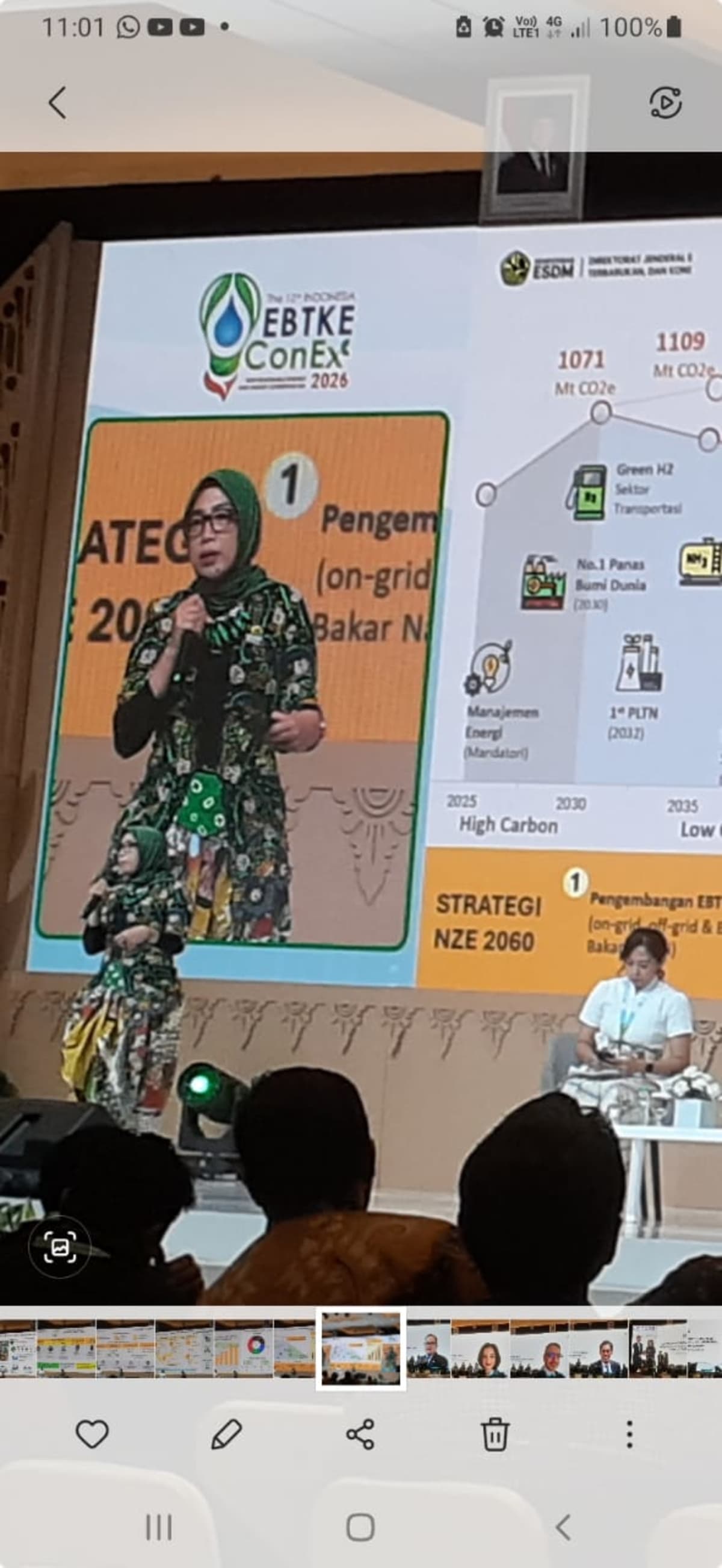 Norway Offers Indonesia $20-40 Per Ton for Solar Credits