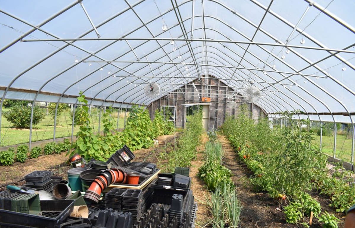 Rhode Island Students Design & Run Their Own 5-Acre Farm - Image 3