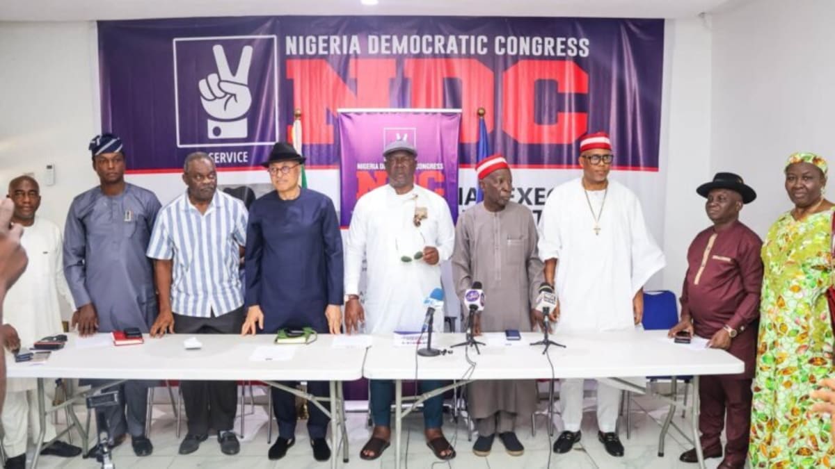 Nigerian Party Creates Peace Committee After Primaries - Image 2