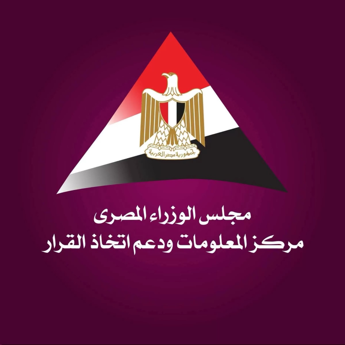 Young entrepreneurs collaborating in modern Cairo startup office with digital technology