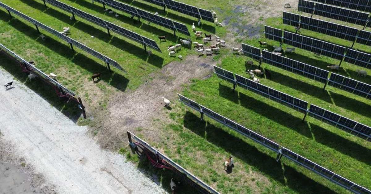 Wind and Solar Farms Don't Lower Home Values, Study Finds