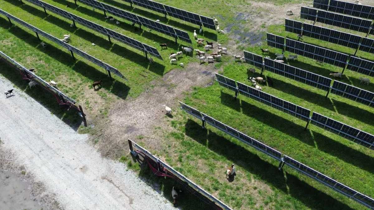 Wind and Solar Farms Don't Lower Home Values, Study Finds - Image 2