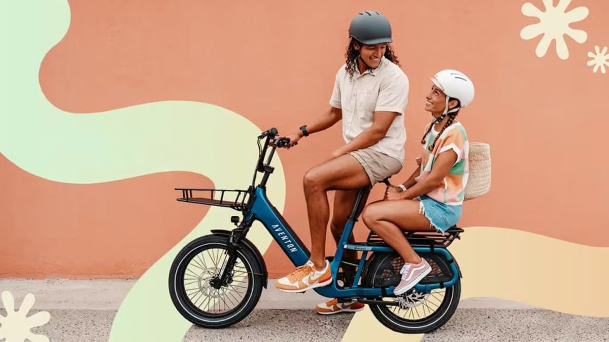 E-Bikes Built for Two Make Car-Free Living Easier - Image 4
