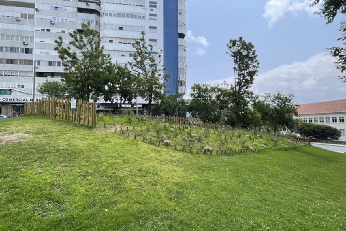 Tiny Miyawaki Forests Bring Dense Green to U.S. Cities