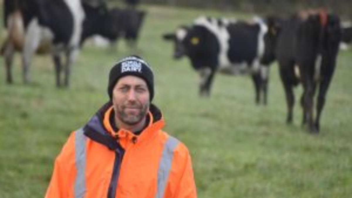 New Zealand Dairy Farms Prioritize Worker Wellbeing - Image 3