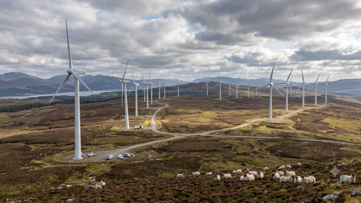 Wind turbines standing in rows at a wind farm site in Scotland