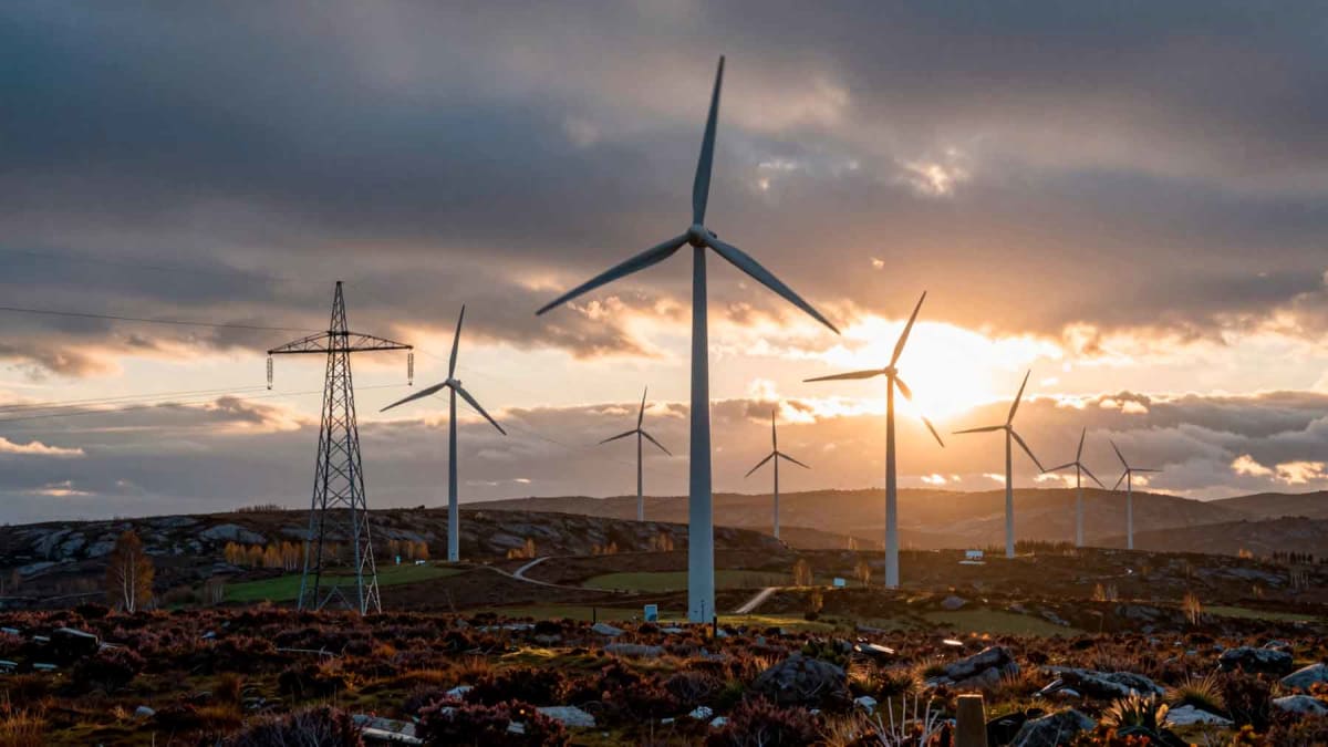 Norway Cuts Wind Farm Approval Times in Half
