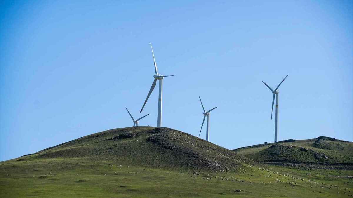 Texas AI Campus to Run on 100% Wind Power