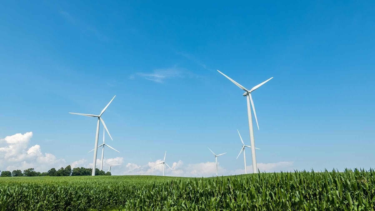 Scotland Gets 96 MW Wind Farm With 16 New Turbines