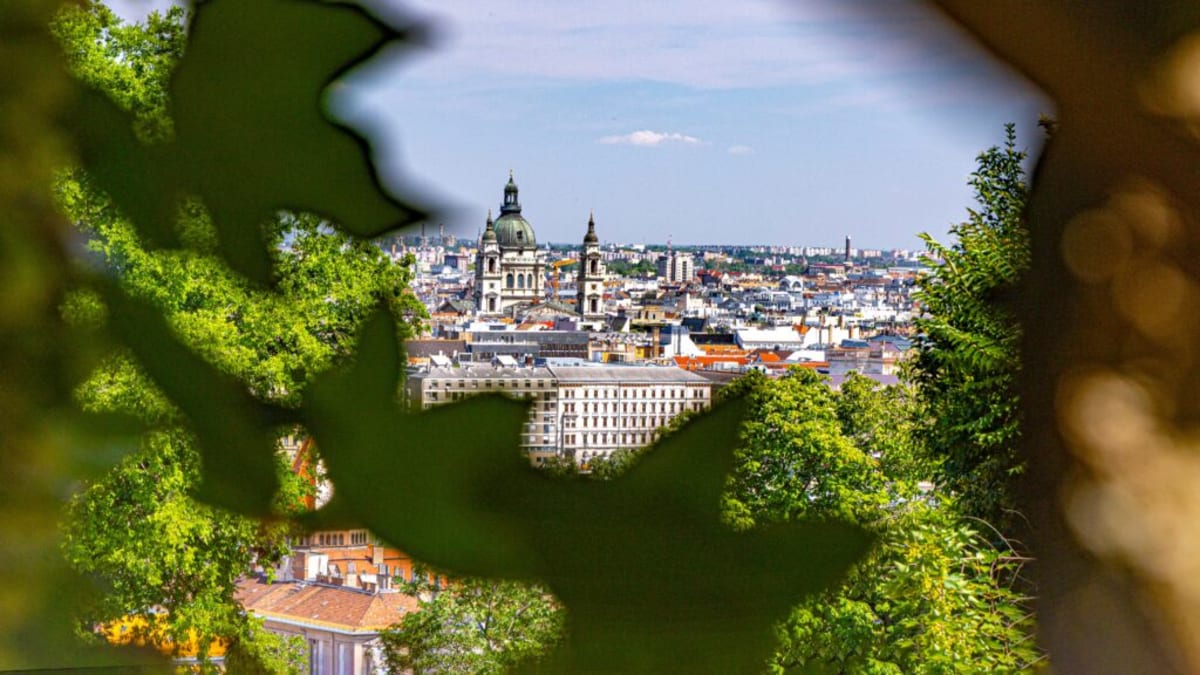 Hungary Creates Environment Ministry After 16 Years - Image 2