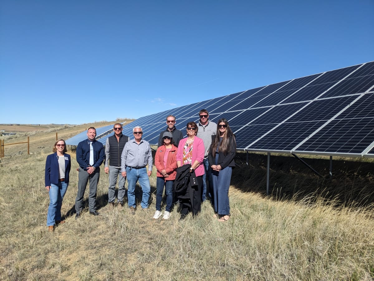 ** Large-scale solar panel array in sunny field generating clean renewable energy for American homes