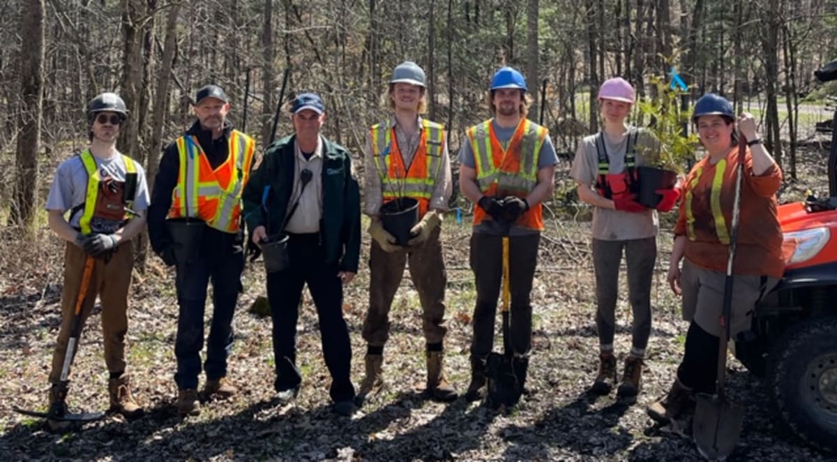 12,000 Native Trees Restore 9 Ontario Parks After Storms