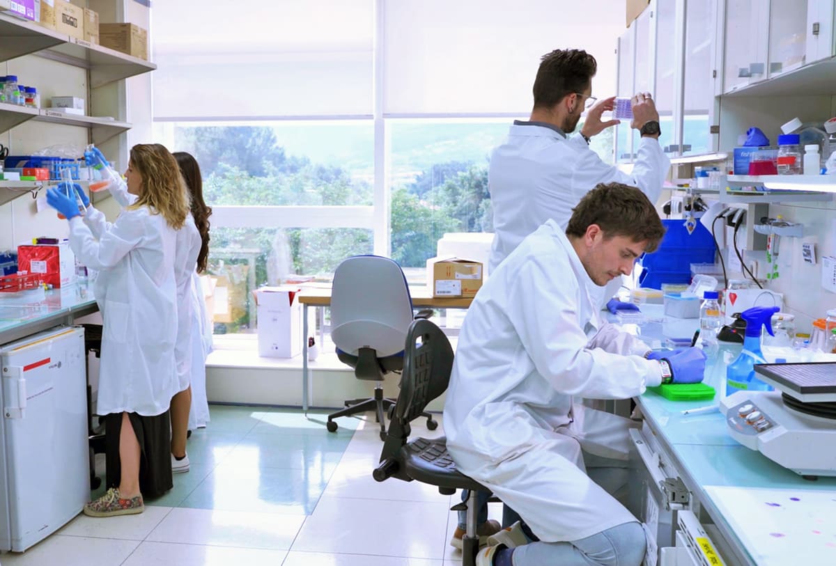 Researchers in laboratory studying cellular mechanisms that prevent cancer tumor progression naturally