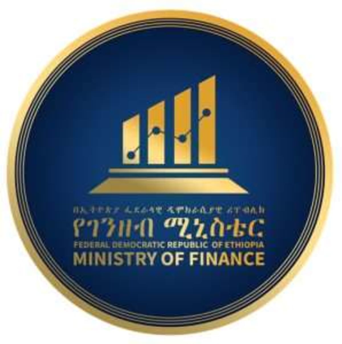 Italy Commits €80M to Ethiopia's Green Economic Future - Image 4