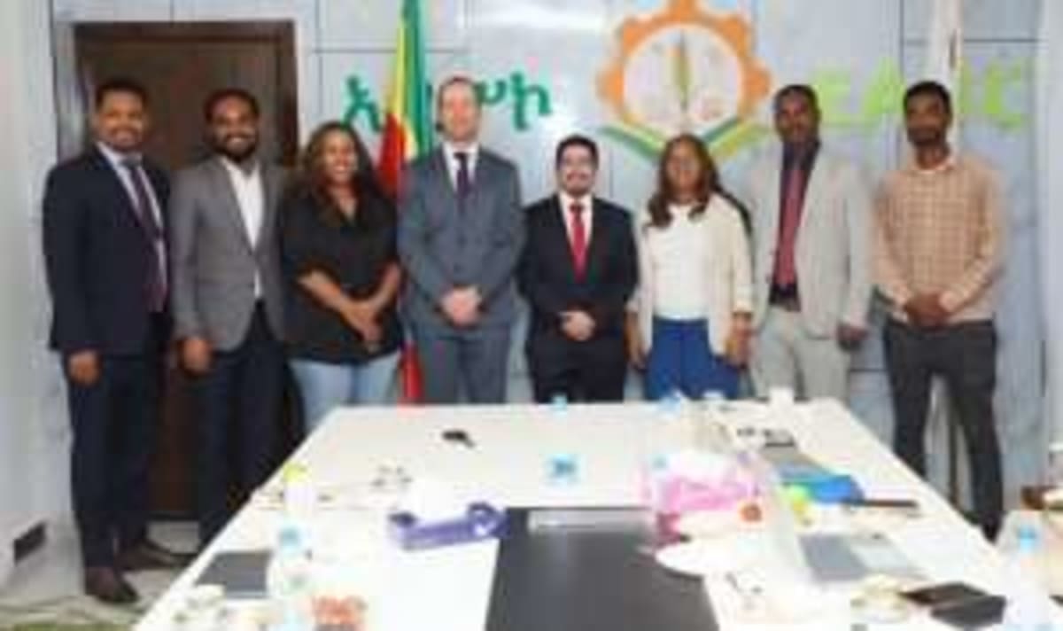 Ethiopia and Japan Team Up to Save Coffee's Genetic Future - Image 4
