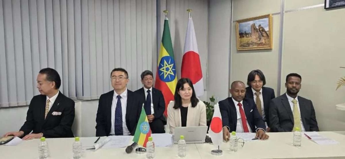 Ethiopia and Japan Team Up to Save Coffee's Genetic Future - Image 2