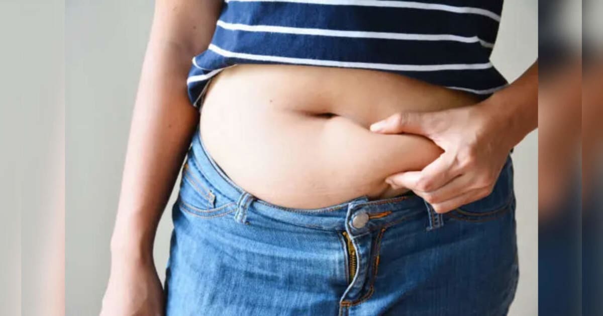 Microscopic view of brown fat tissue showing dense networks of blood vessels and nerves