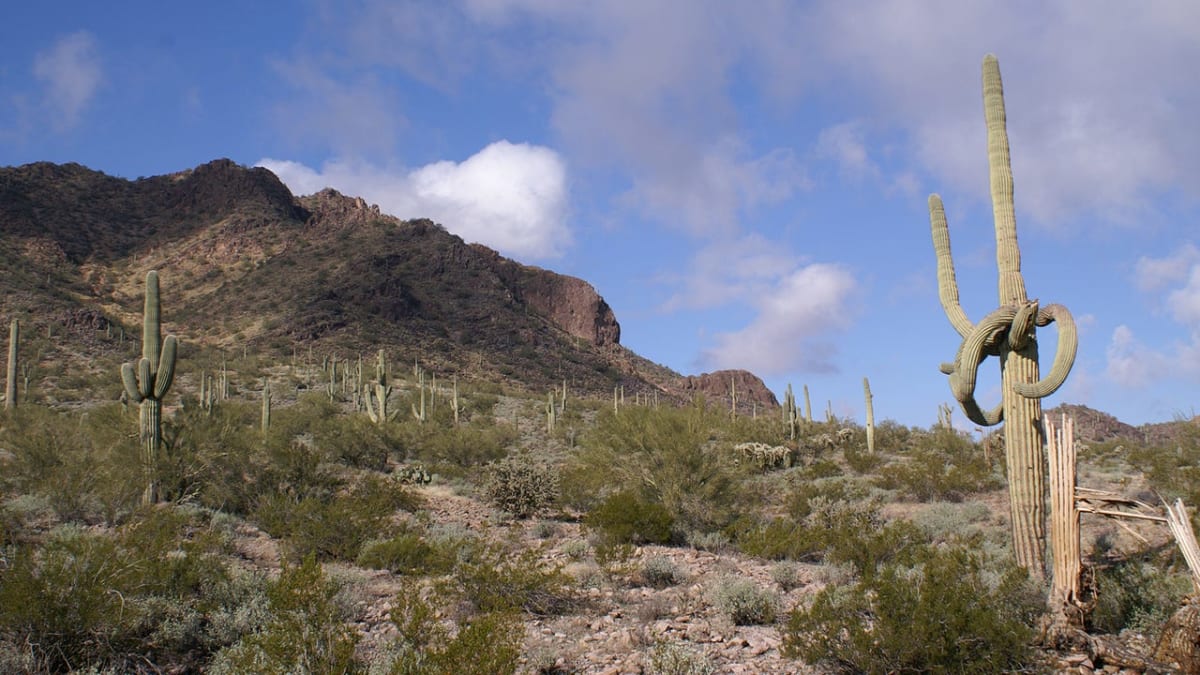 Arizona Rancher Beats Skin Cancer, Shares Protection Tips - Image 3