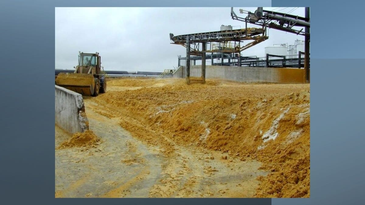 Brazil Cattle Study Cuts Methane 50% While Boosting Output - Image 4