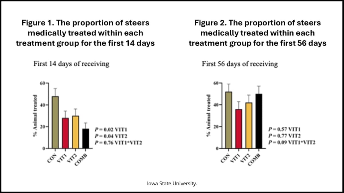 Brazil Cattle Study Cuts Methane 50% While Boosting Output - Image 5