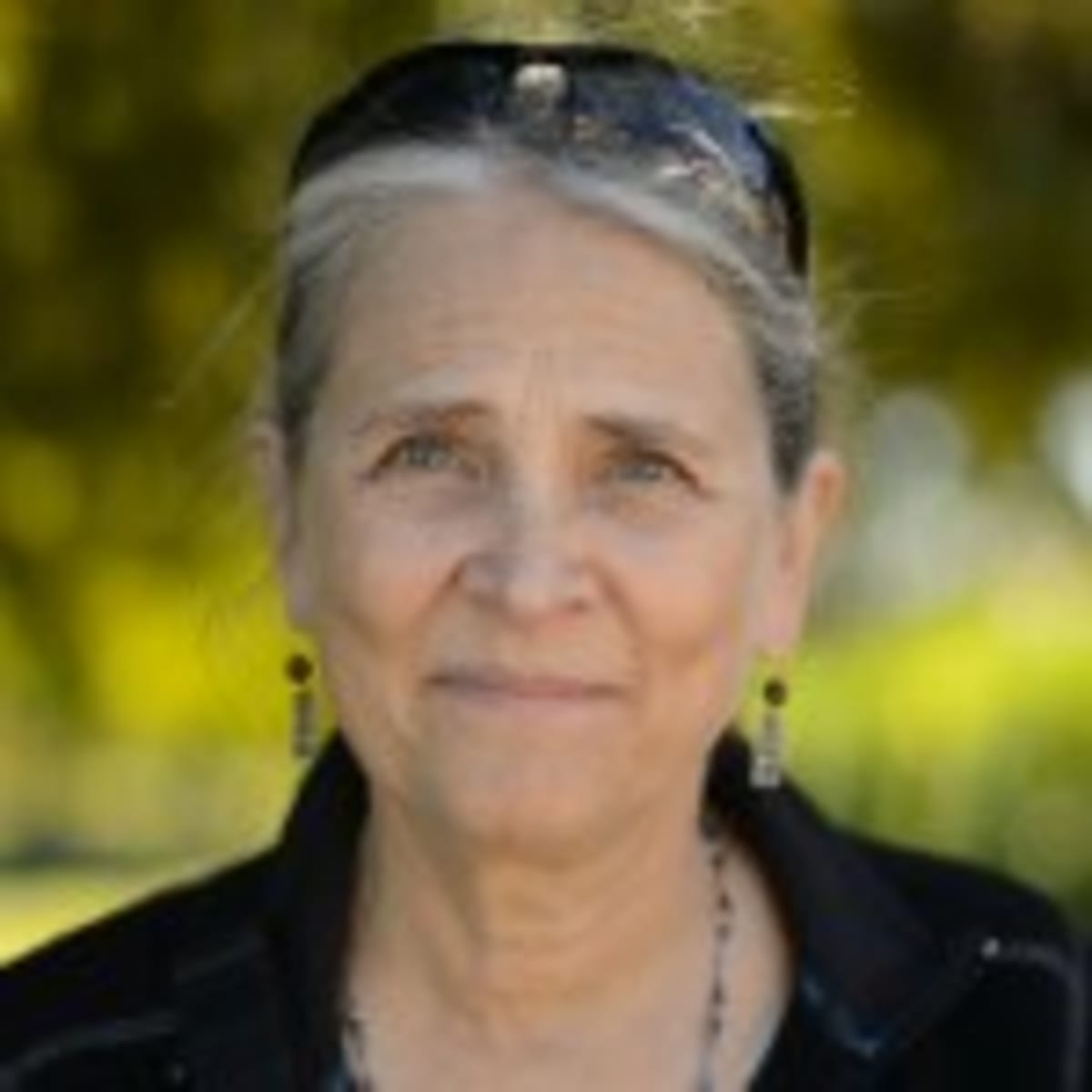 Evanston's 1,600-Panel Solar Roof Powers 213 Homes - Image 3