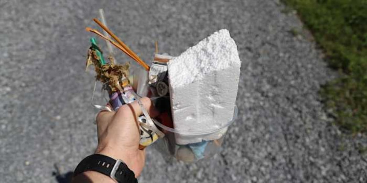 Farmingdale's 7th Annual STEAM Night Draws Hundreds - Image 3