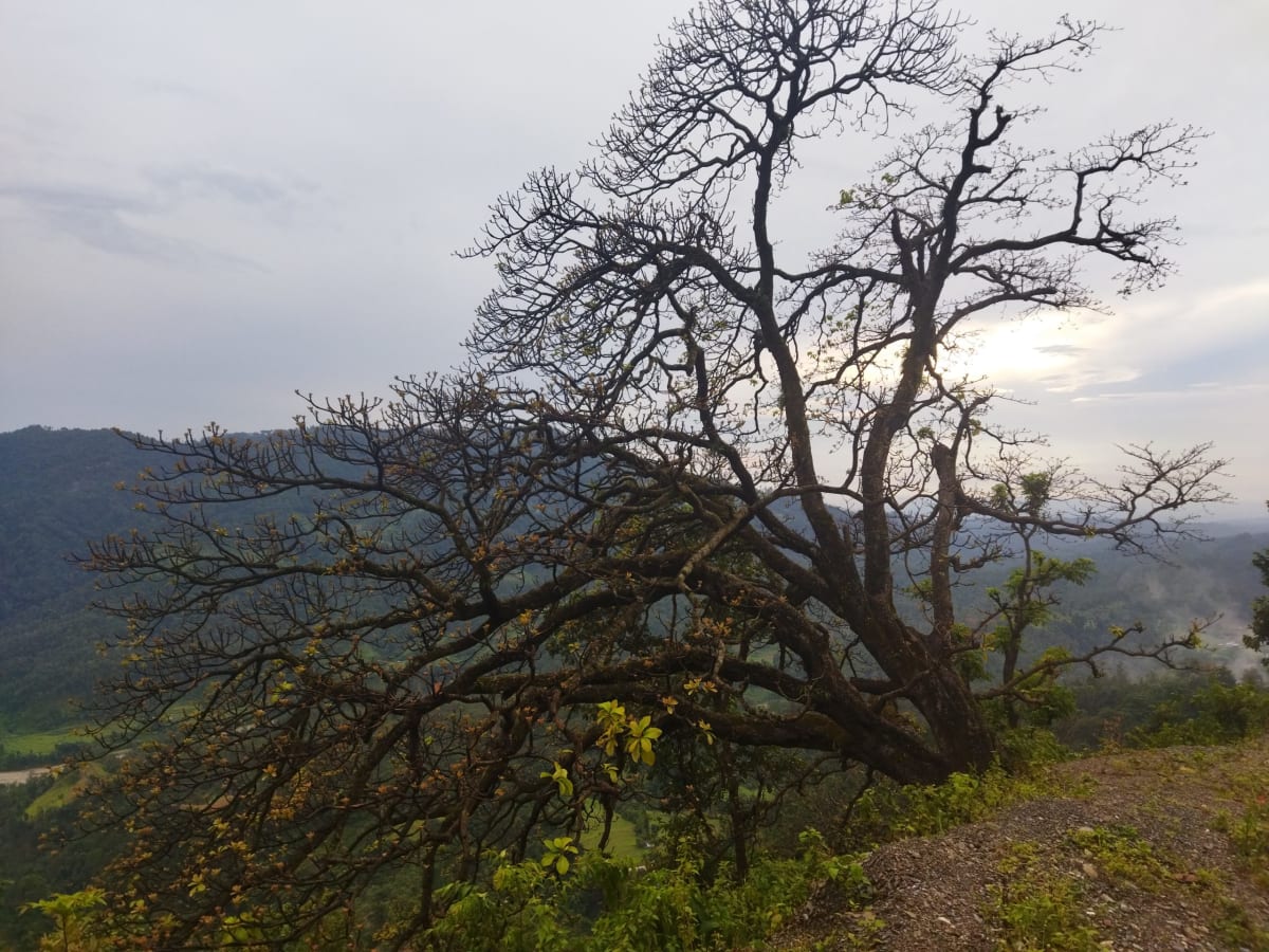 Nepal Puts Indigenous Communities at Conservation's Center - Image 5