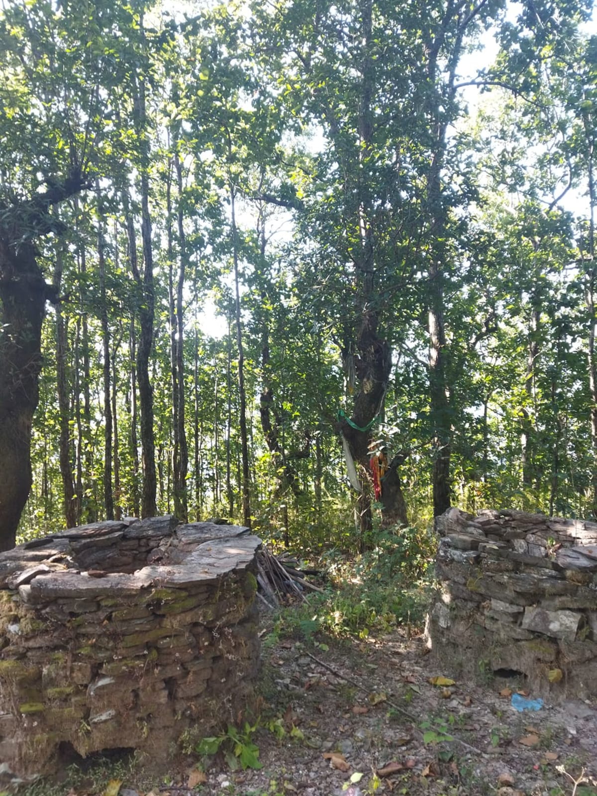 Nepal Puts Indigenous Communities at Conservation's Center - Image 4