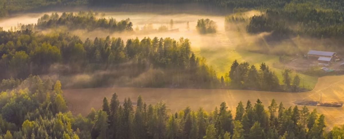 Sweden Greenlights Major Solar Farm Powering 30,000 Homes