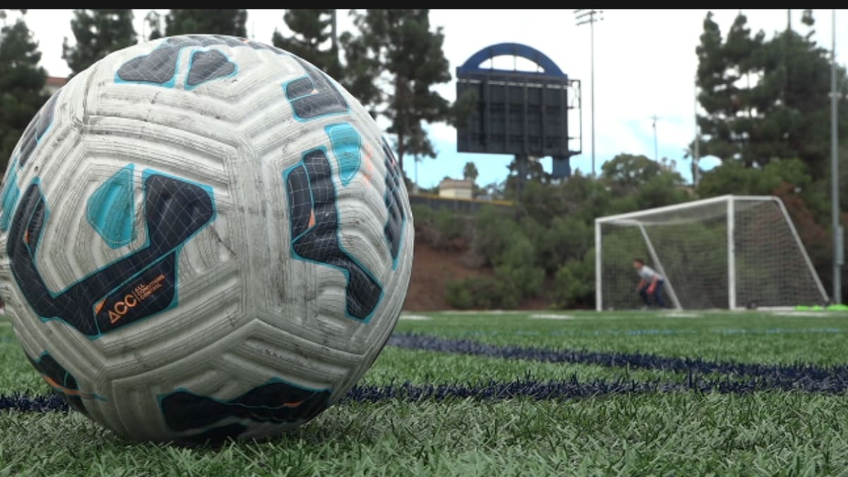 USD Basketball Team Helps 1,900 Shelter Pets Find Homes - Image 3