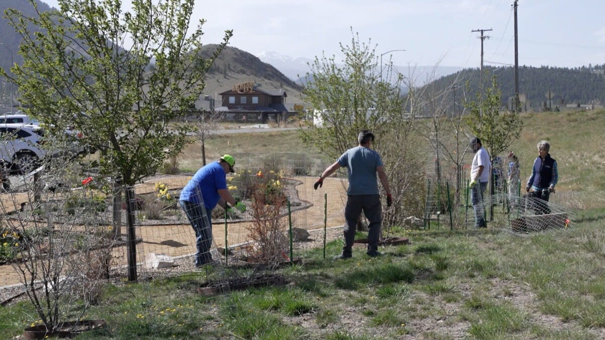 Montana Volunteers Build Fire-Safe Garden on Earth Day - Image 2