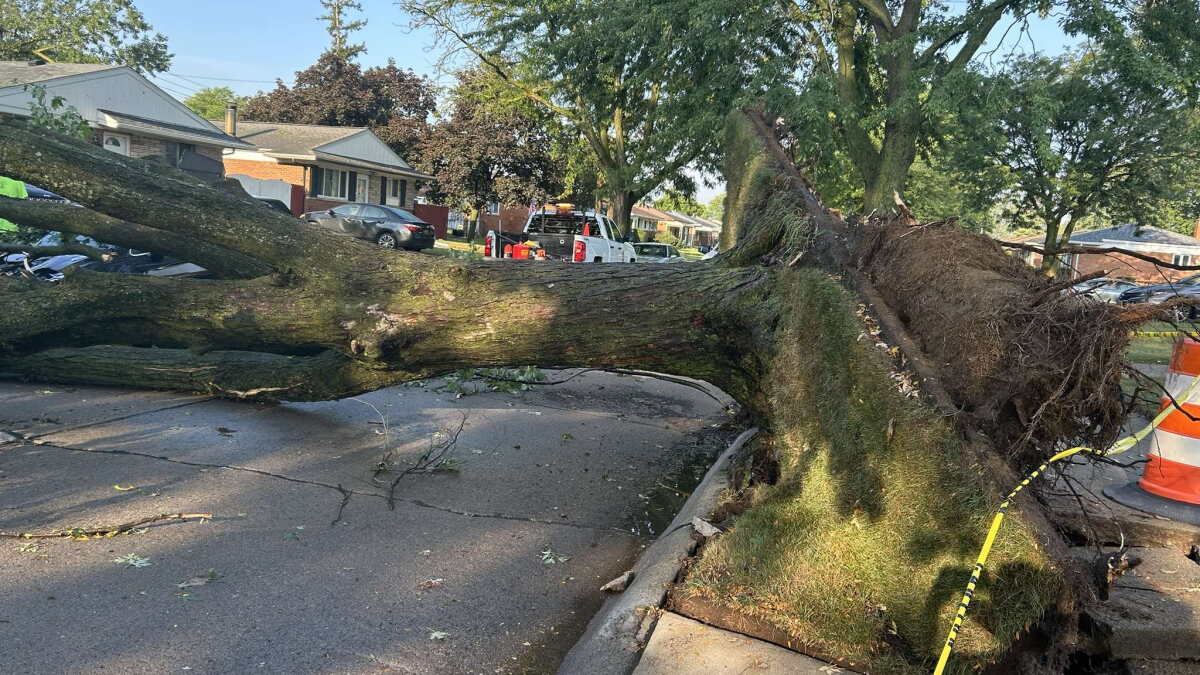 Detroit Volunteers Rally After Storm Ravages Belle Isle - Image 2