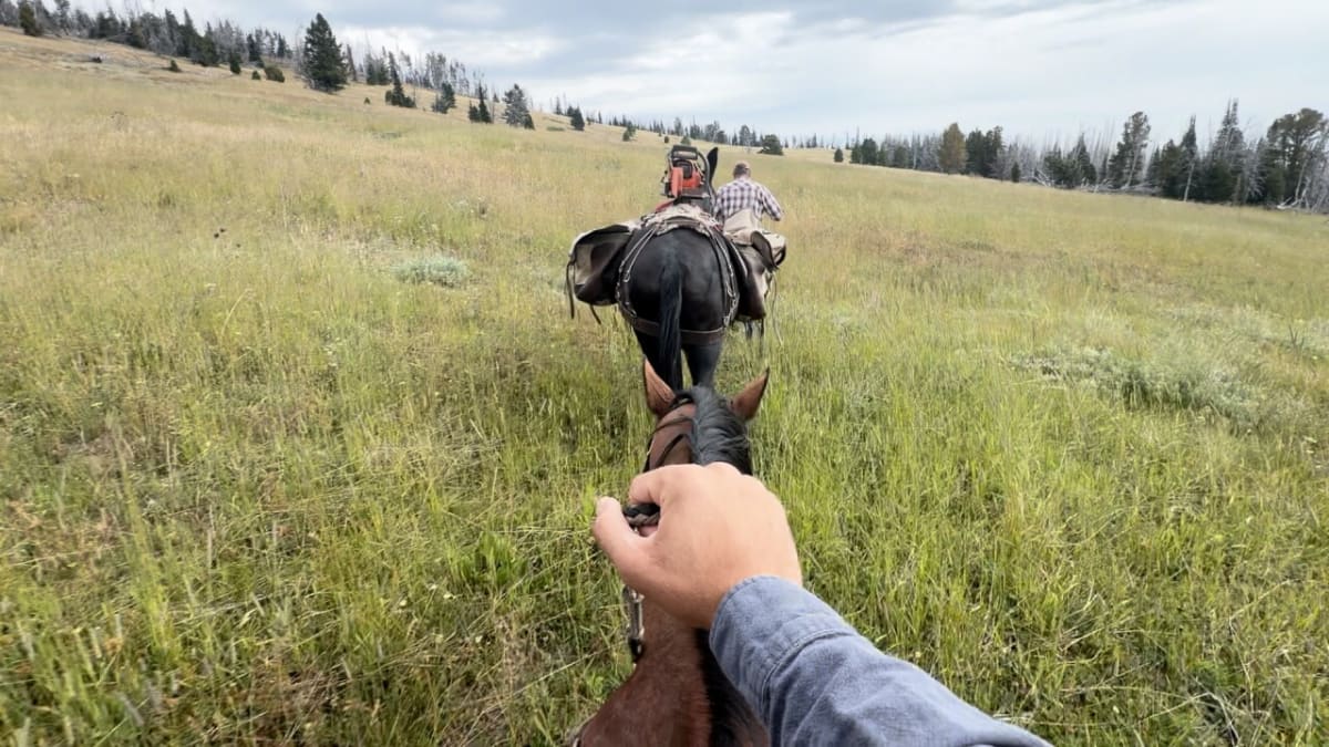 Montana Volunteers Clear 50 Miles of Trails on Horseback - Image 3