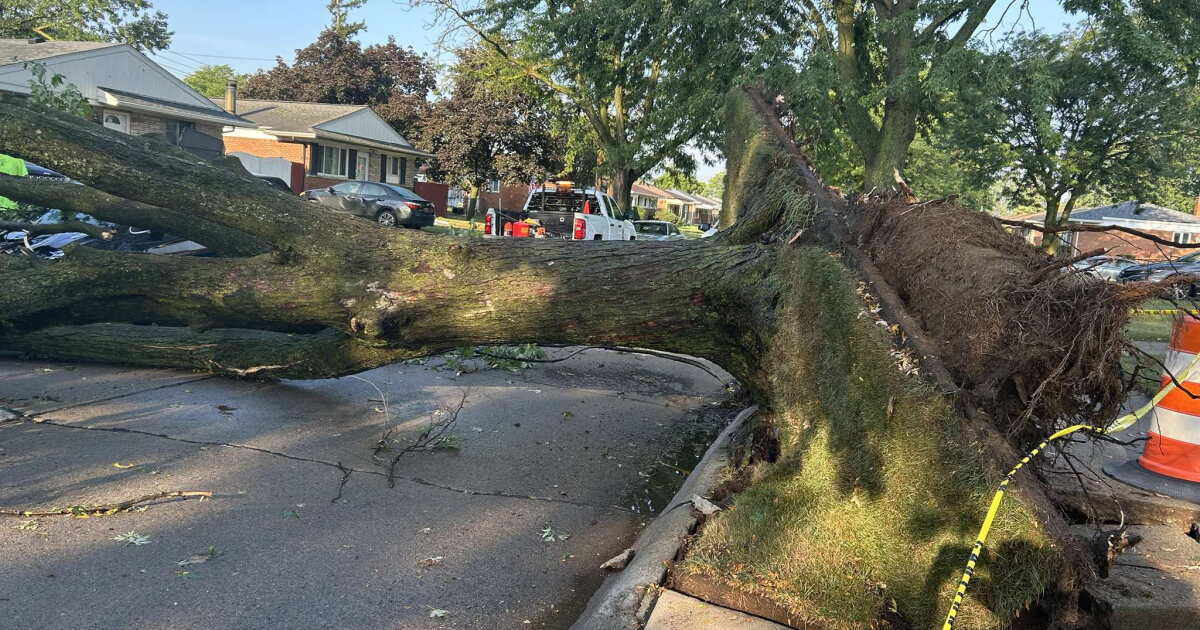 Detroit Volunteers Rally After Storm Ravages Belle Isle