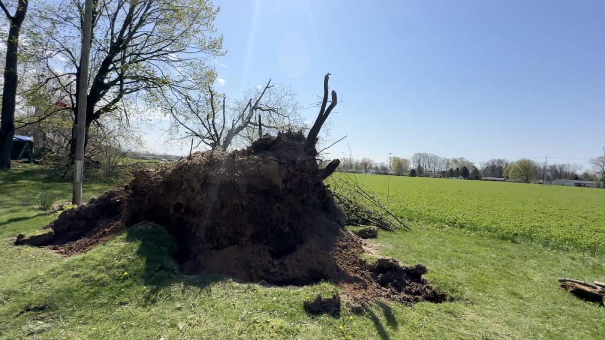 Michigan Tornado Survivors Rebuild With Humor and Heart - Image 2