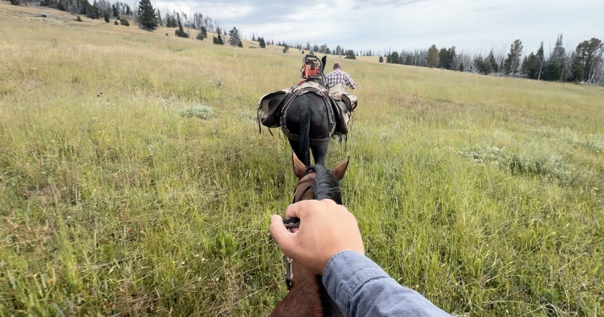 Montana Volunteers Clear 50 Miles of Trails on Horseback