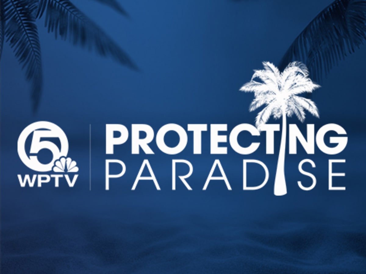 Palm Beach's Turtle Tuesday Hits 20 Years of Beach Cleanups - Image 3