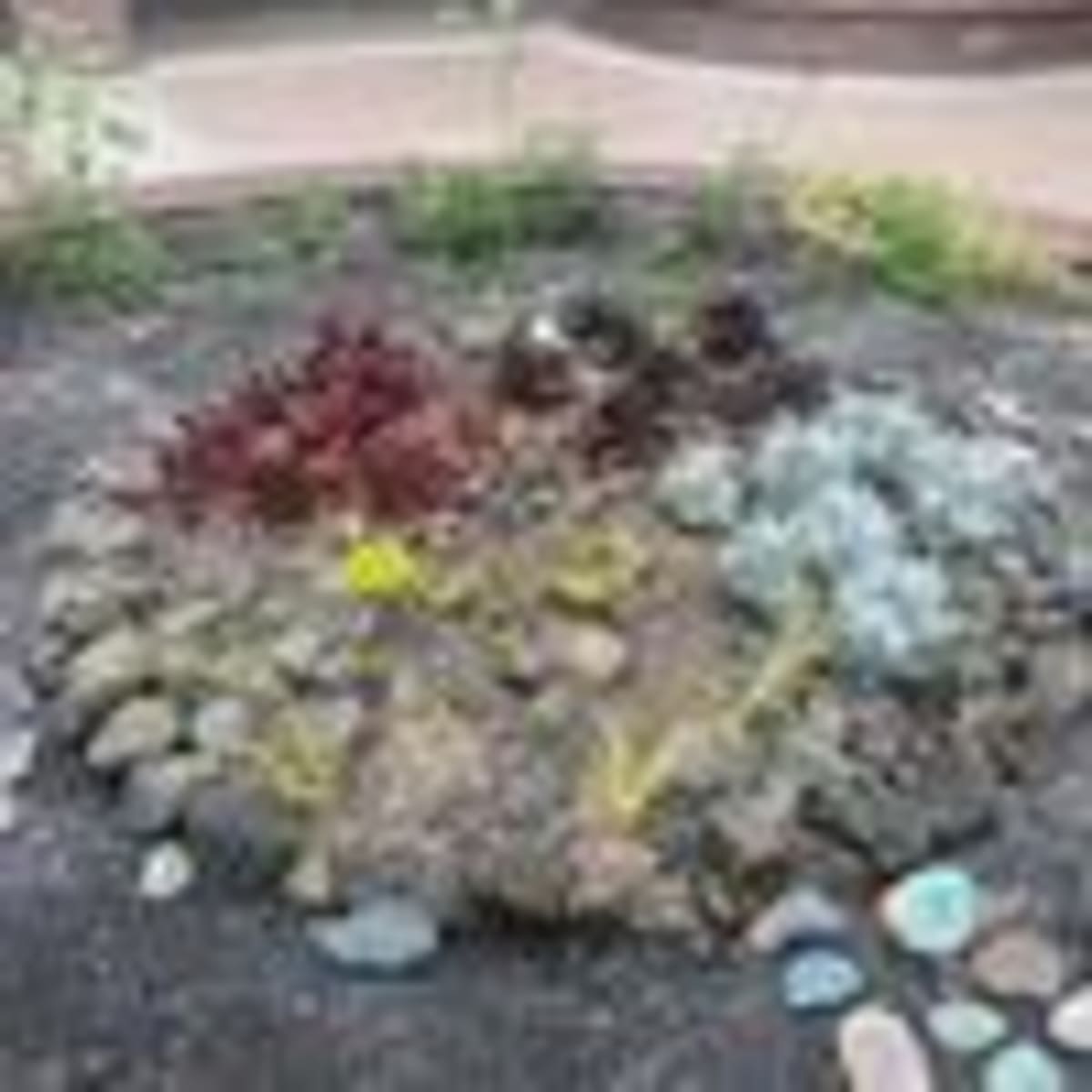 Oregon Tribe Uses Gardening to Help People Heal - Image 4